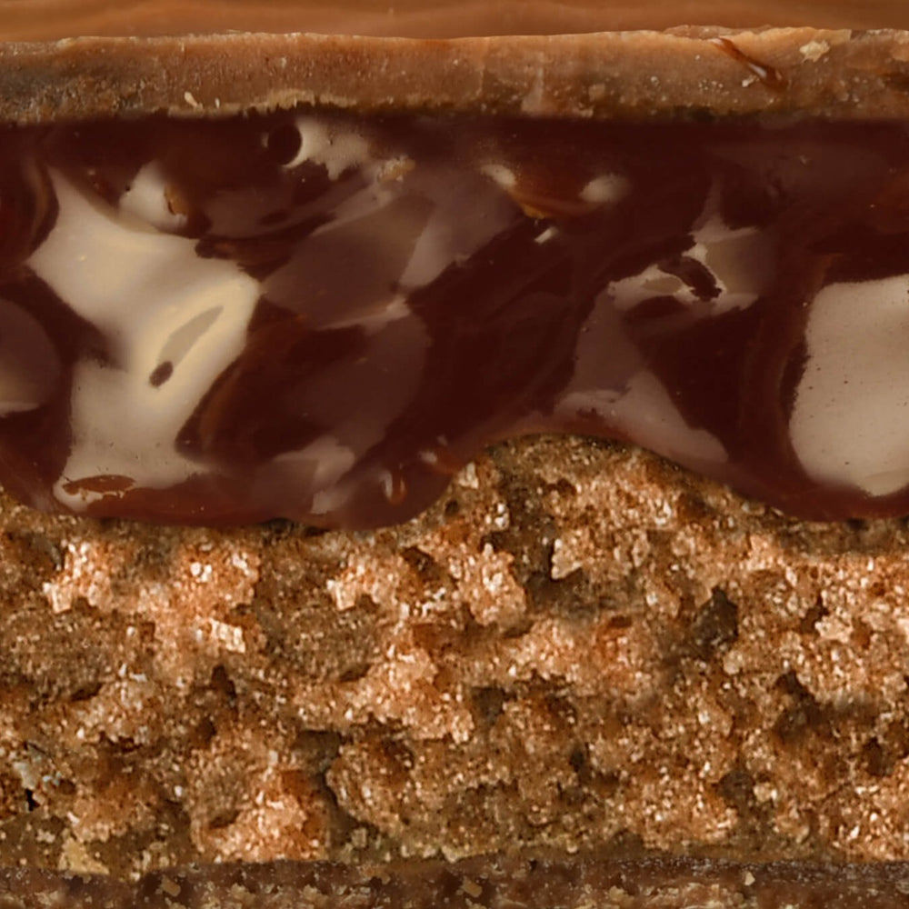A goey cross section image showing chocolate